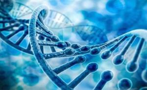 銳翌生物獲近億元A輪融資，魯信創投領投加速生物研發新突破